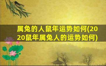 属兔的人鼠年运势如何(2020鼠年属兔人的运势如何)