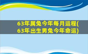 63年属兔今年每月运程(63年出生男兔今年命运)