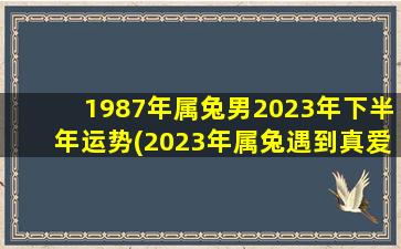 <b>1987年属兔男2023年下半年运势(2023年属兔遇到真爱)</b>