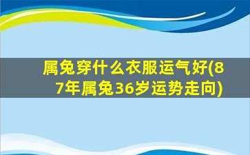 属兔穿什么衣服运气好(87年属兔36岁运势走向)