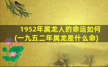 1952年属龙人的命运如何