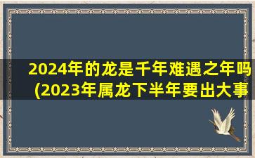 2024年的龙是千年难遇之年