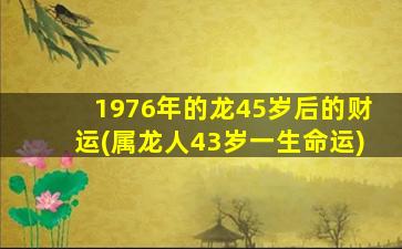 1976年的龙45岁后的财运(属