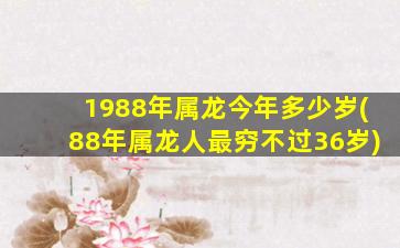 1988年属龙今年多少岁(88年