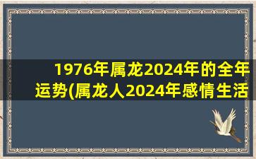 1976年属龙2024年的全年运势