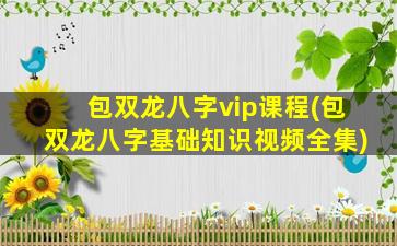 包双龙八字vip课程(包双龙