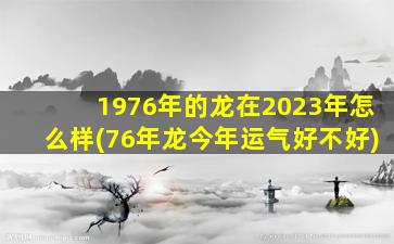 1976年的龙在2023年怎么样