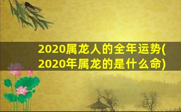 <strong>2020属龙人的全年运势(20</strong>