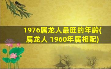 1976属龙人最旺的年龄(属龙