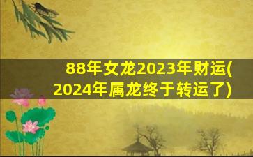 88年女龙2023年财运(2024年属龙终于转运了)