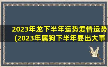 2023年龙下半年运势爱情运