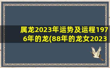 属龙2023年运势及运程197