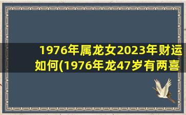 1976年属龙女2023年财运如何