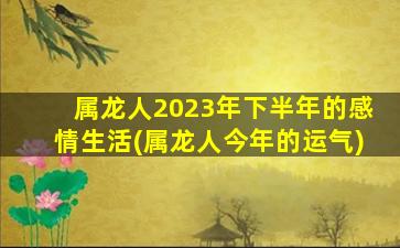 属龙人2023年下半年的感情