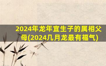 2024年龙年宜生子的属相父