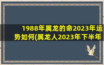 1988年属龙的命2023年运势如