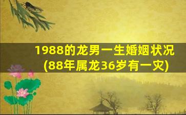 1988的龙男一生婚姻状况