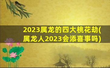 2023属龙的四大桃花劫(属