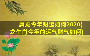 属龙今年财运如何2020(龙生肖今年的运气财气如何)