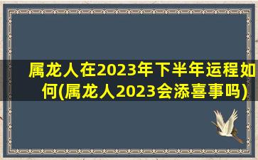 属龙人在2023年下半年运程