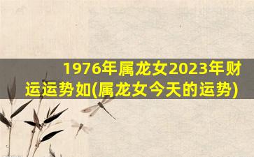 1976年属龙女2023年财运运势