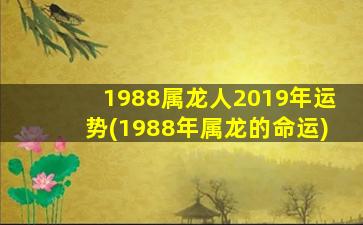 1988属龙人2019年运势(1988年