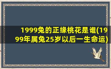 1999兔的正缘桃花是谁(1999年属兔25岁以后一生命运)