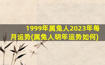 1999年属兔人2023年每月运势(属兔人明年运势如何)