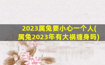 <b>2023属兔要小心一个人(属兔2023年有大祸缠身吗)</b>