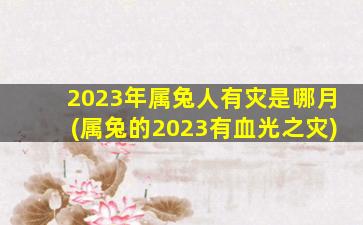 2023年属兔人有灾是哪月(属兔的2023有血光之灾)