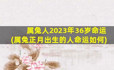 属兔人2023年36岁命运(属兔正月出生的人命运如何)