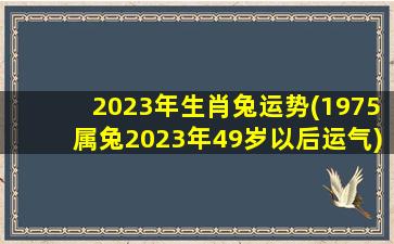 2023年生肖兔运势(1975属兔2023年49岁以后运气)