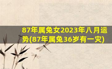 87年属兔女2023年八月运势(87年属兔36岁有一灾)