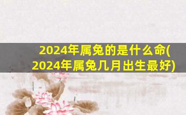 <b>2024年属兔的是什么命(2024年属兔几月出生最好)</b>