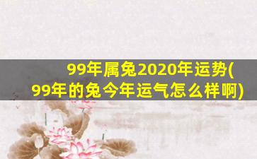 99年属兔2020年运势(99年的兔今年运气怎么样啊)