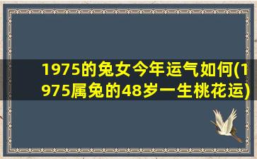 1975的兔女今年运气如何(1975属兔的48岁一生桃花运)