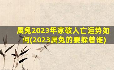 属兔2023年家破人亡运势如何(2023属兔的要躲着谁)