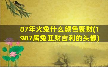 87年火兔什么颜色聚财(1987属兔旺财吉利的头像)