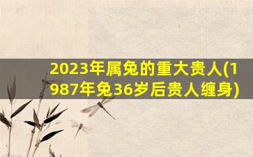 2023年属兔的重大贵人(1987年兔36岁后贵人缠身)