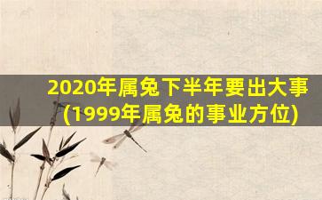 2020年属兔下半年要出大事(1999年属兔的事业方位)