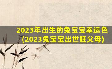 2023年出生的兔宝宝幸运色(2023兔宝宝出世旺父母)