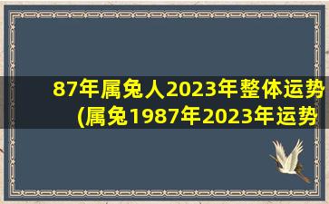 87年属兔人2023年整体运势(属兔1987年2023年运势及运程)