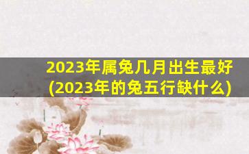 2023年属兔几月出生最好(2023年的兔五行缺什么)