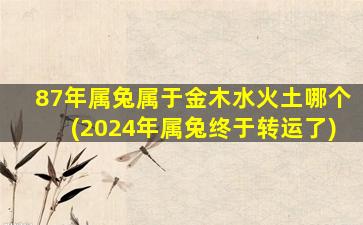 87年属兔属于金木水火土哪个(2024年属兔终于转运了)