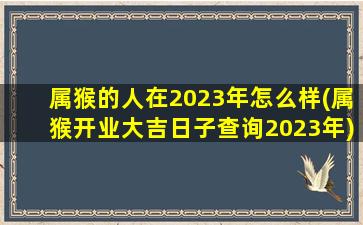 属猴的人在2023年怎么样