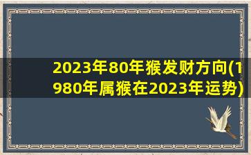 2023年80年猴发财方向(1