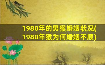 <strong>1980年的男猴婚姻状况(</strong>