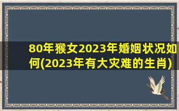 80年猴女2023年婚姻状况如