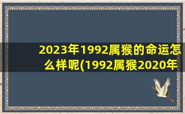 2023年1992属猴的命运怎么