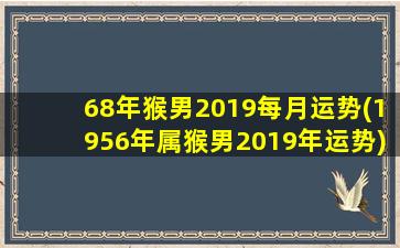 68年猴男2019每月运势(1